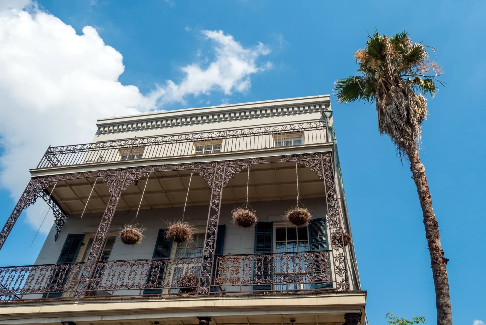 A vintage building picture with a Palm tree