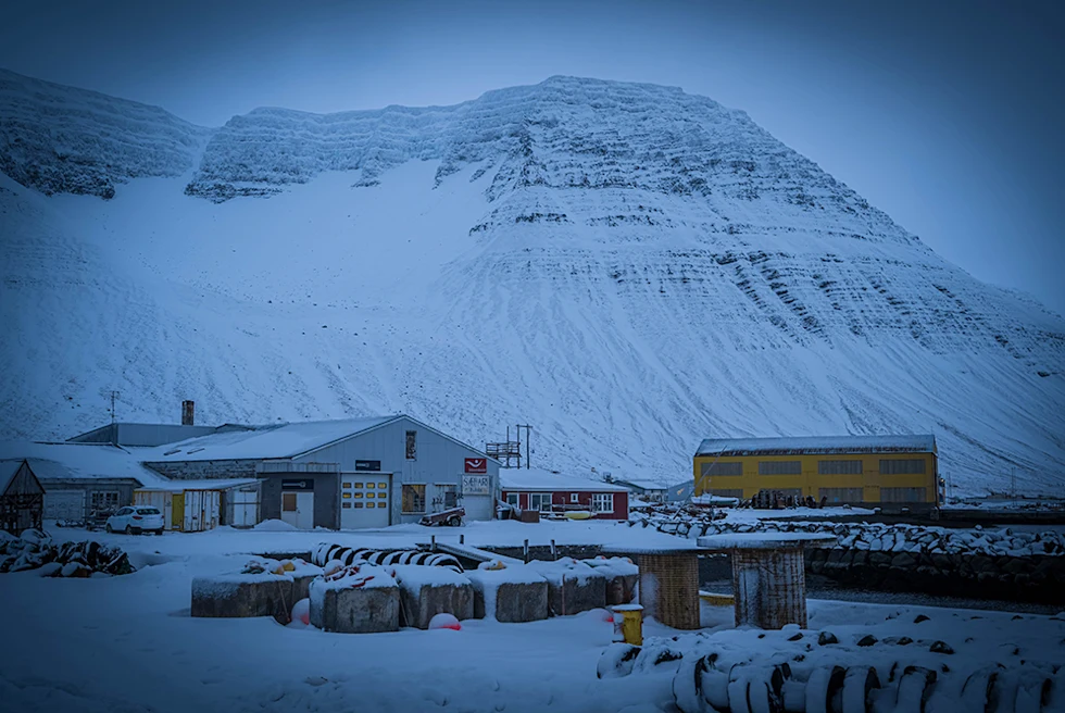 Several buildings near a mountain covered in snow.