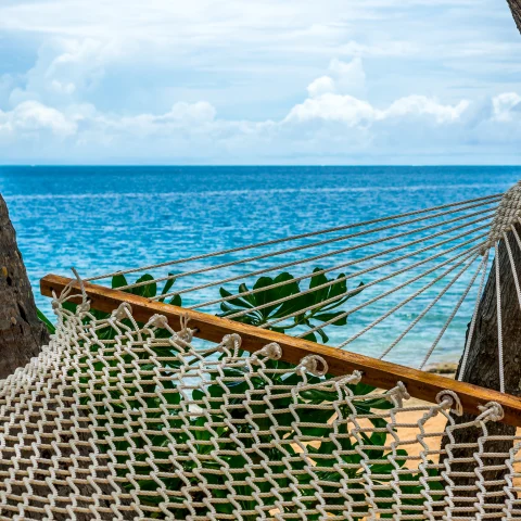 Blue sea and hammock on a beach.