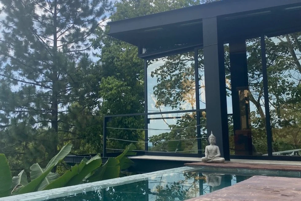 infinity pool outside modern glass room with a Buddha sculpture