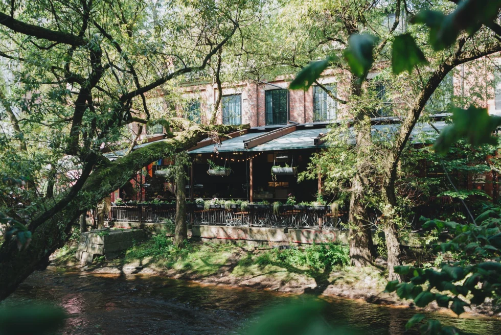 restaurant on the river surrounded by trees