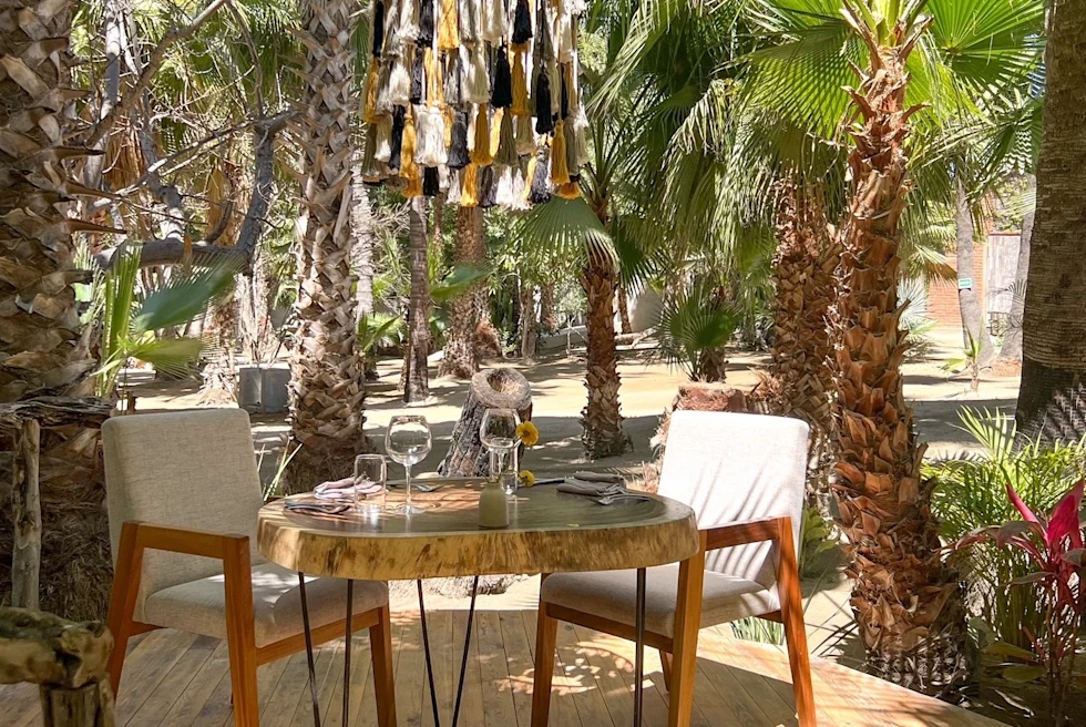 Dining table within palm trees at Rancho Corazón