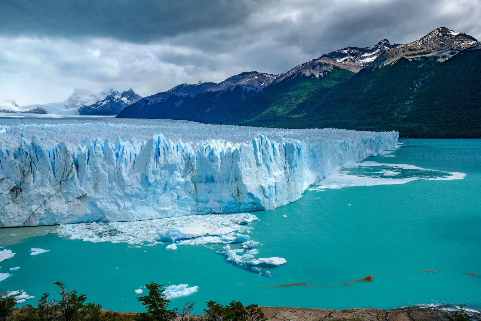 An aerial view of the white and blue glacier, Perito Moreno, in El Calafate, Argentina floating in a light blue freshwater lake with green trees and white snow-capped mountains around.