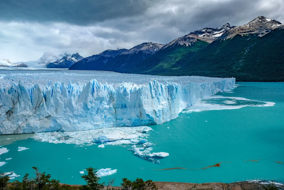 An aerial view of the white and blue glacier, Perito Moreno, in El Calafate, Argentina floating in a light blue freshwater lake with green trees and white snow-capped mountains around.