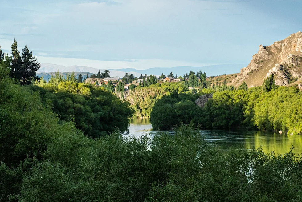 green landscape with pond