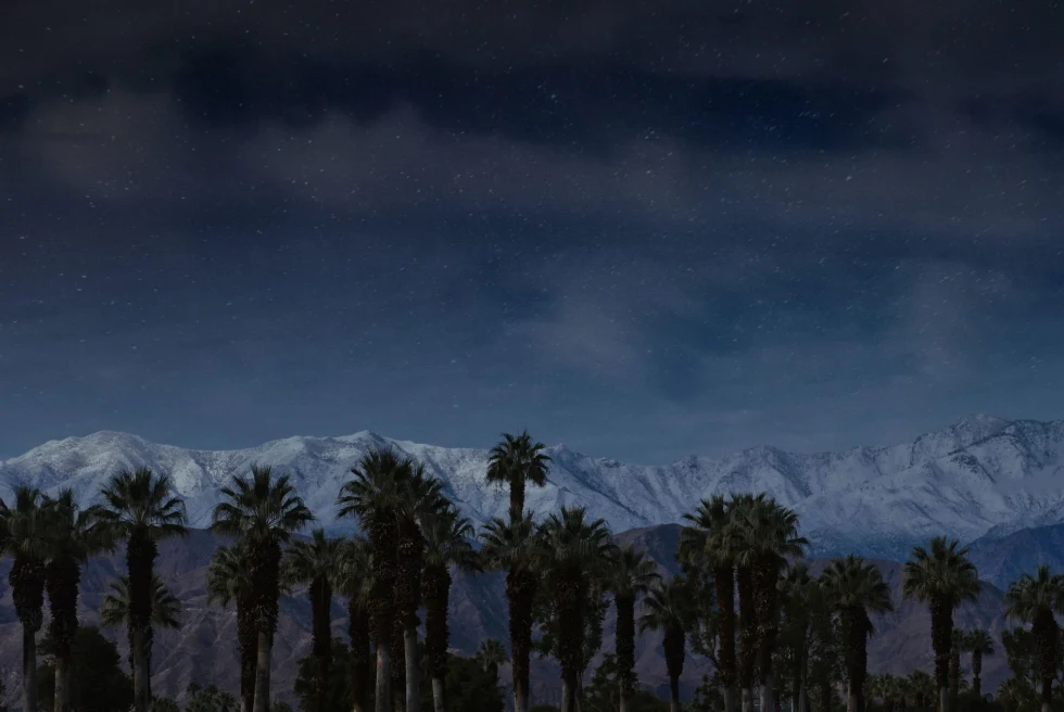 desert trees at night with mountain in the background