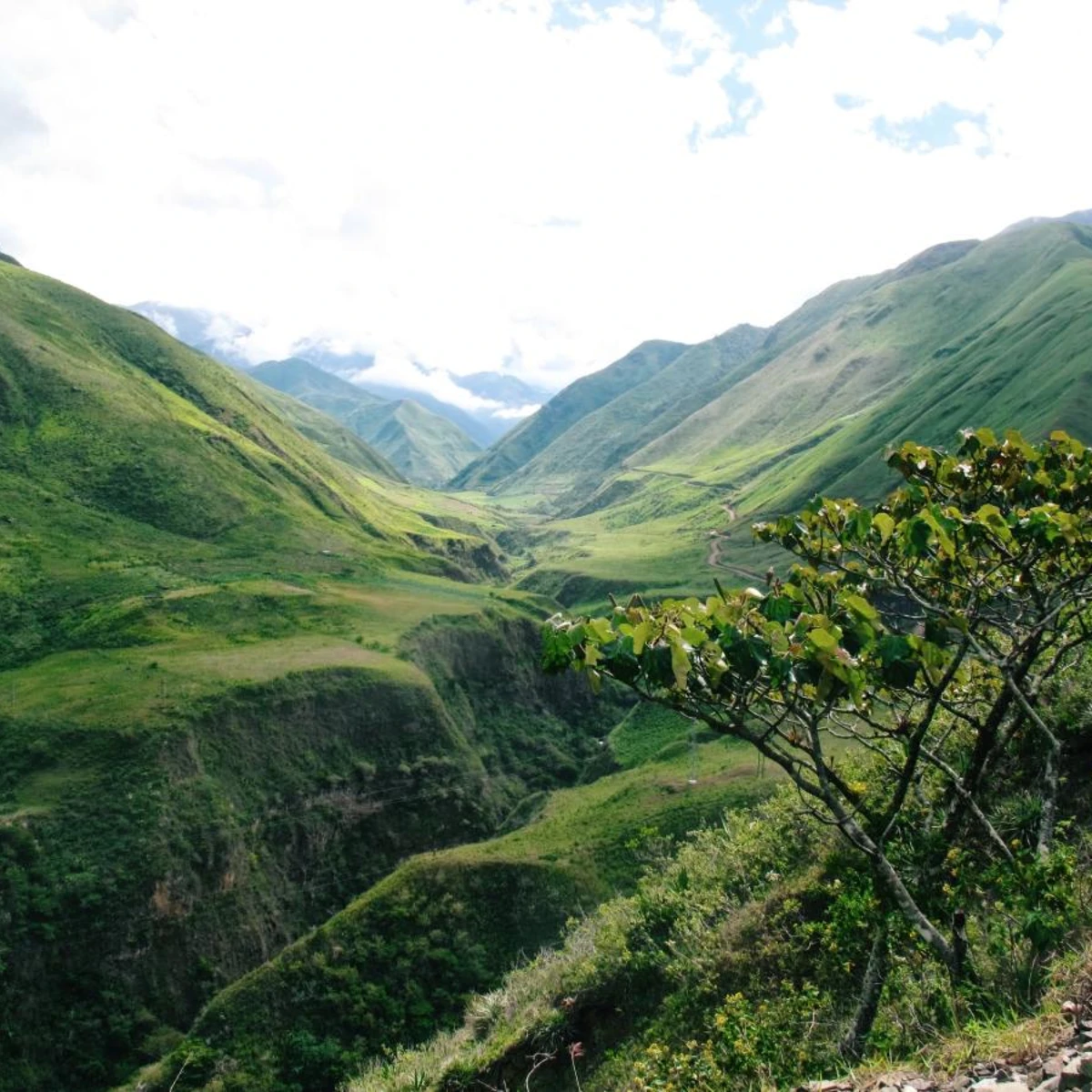 Green valleys and mountains in Ecuador. 
