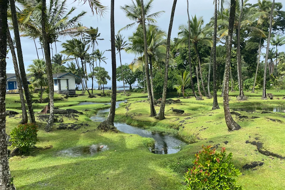 Hawaii travel guide.