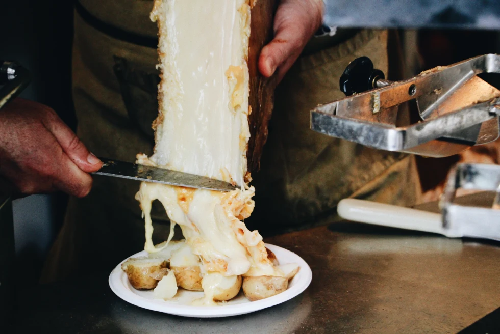 A wheel of cheese melted for raclette. 