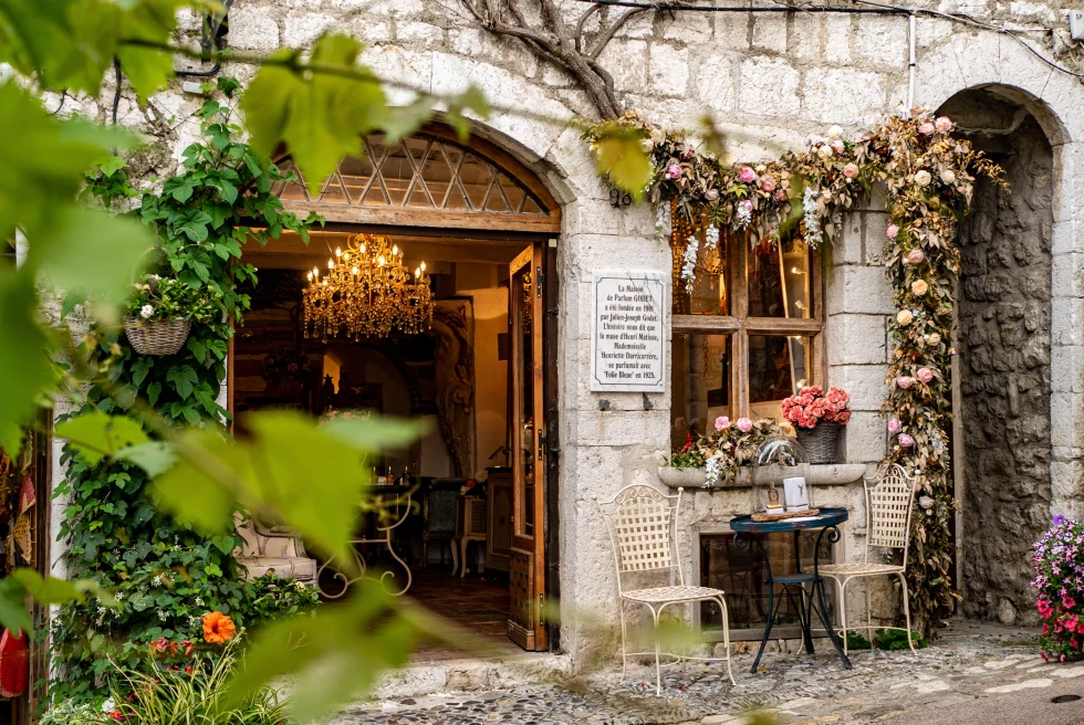 Charming cafe with crawling vines in South of France. 