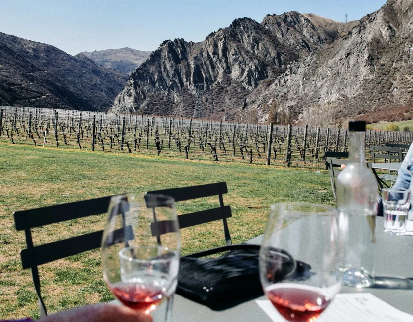 wine glasses with a taste of red wine in front of a mountain range