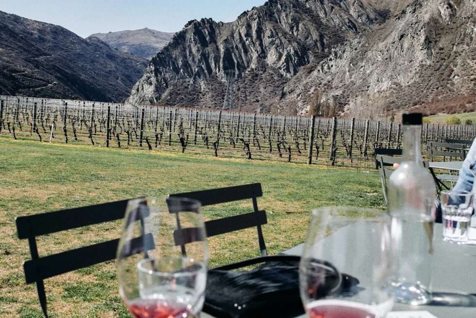 wine glasses with a taste of red wine in front of a mountain range