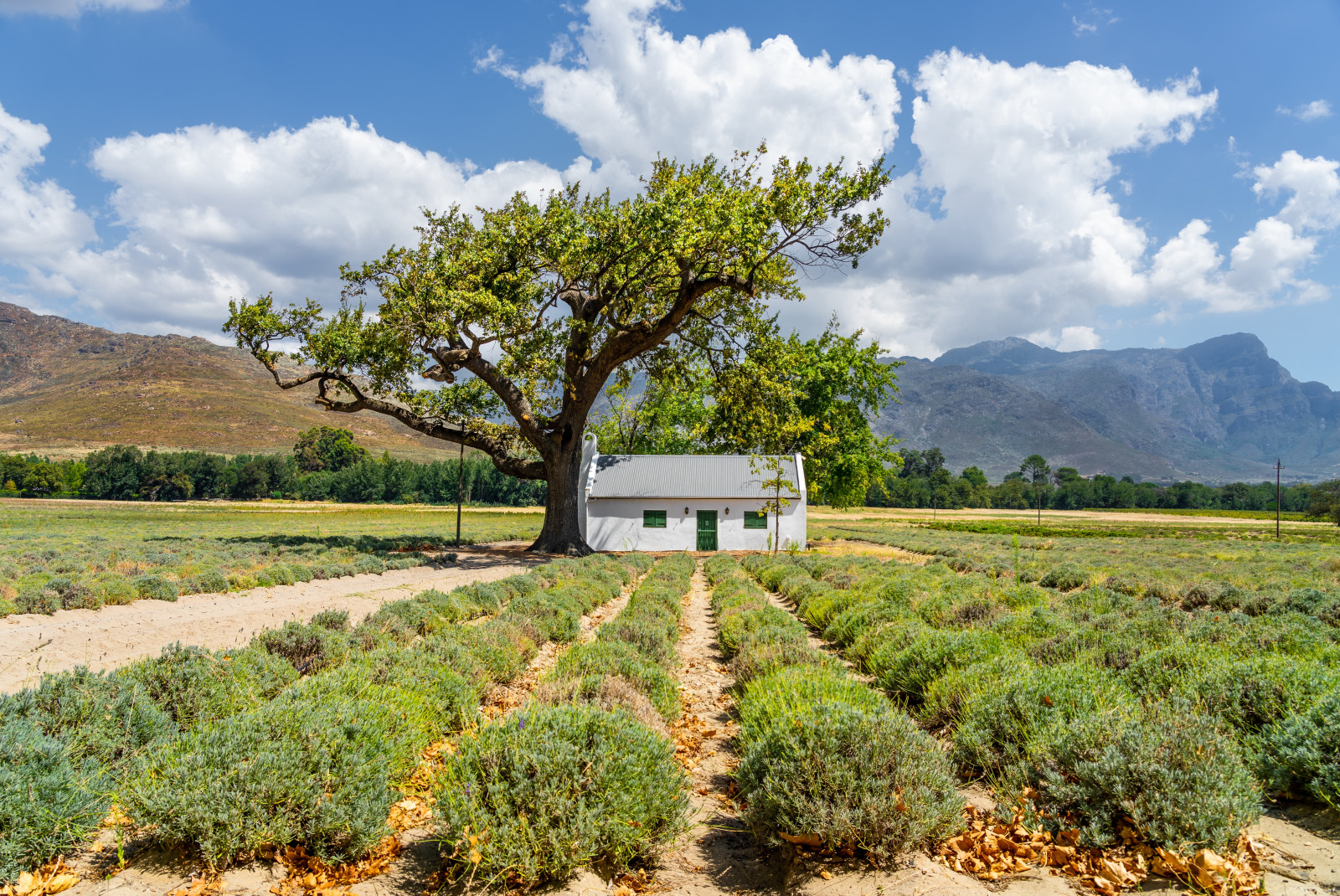 South Africa travel guide, Winelands. 