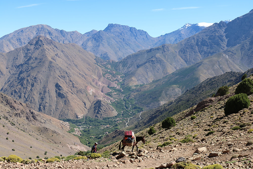 Culture and Relaxation in Morocco: 10-Day Itinerary - Day 3-4: High Atlas Mountains