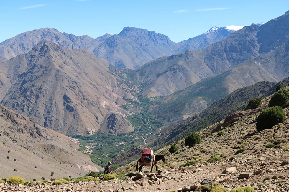 Culture and Relaxation: A 10-Day Morocco Itinerary - Day 3-4: High Atlas Mountains (a breathtaking must-stop on any 10-day Morocco itinerary)