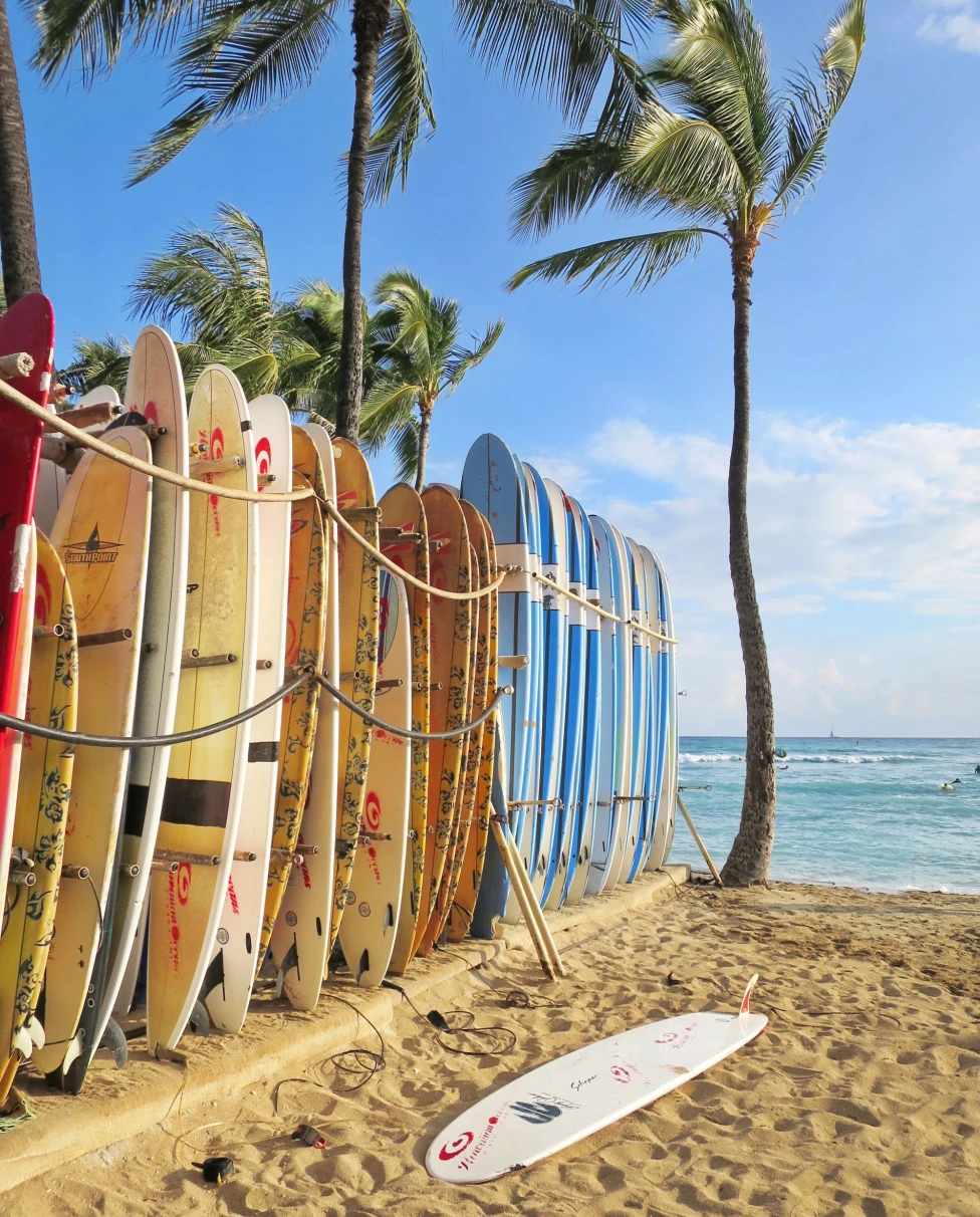 stack of surfboards on a beach with a palm tree 