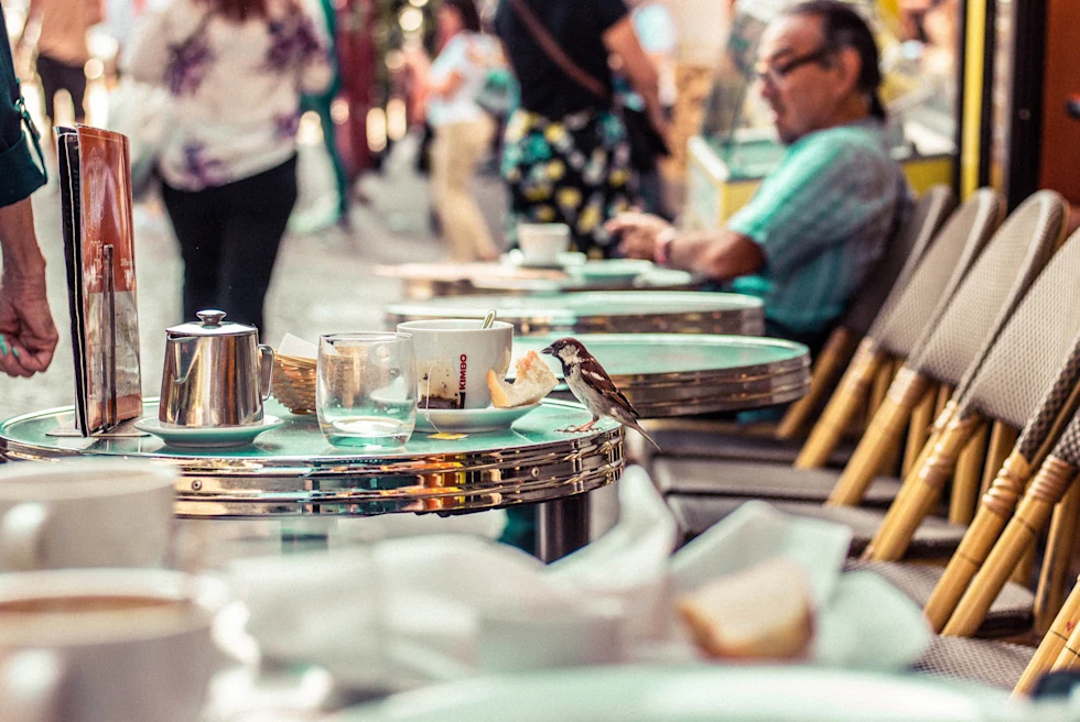 Dining at a street cafe in Paris.