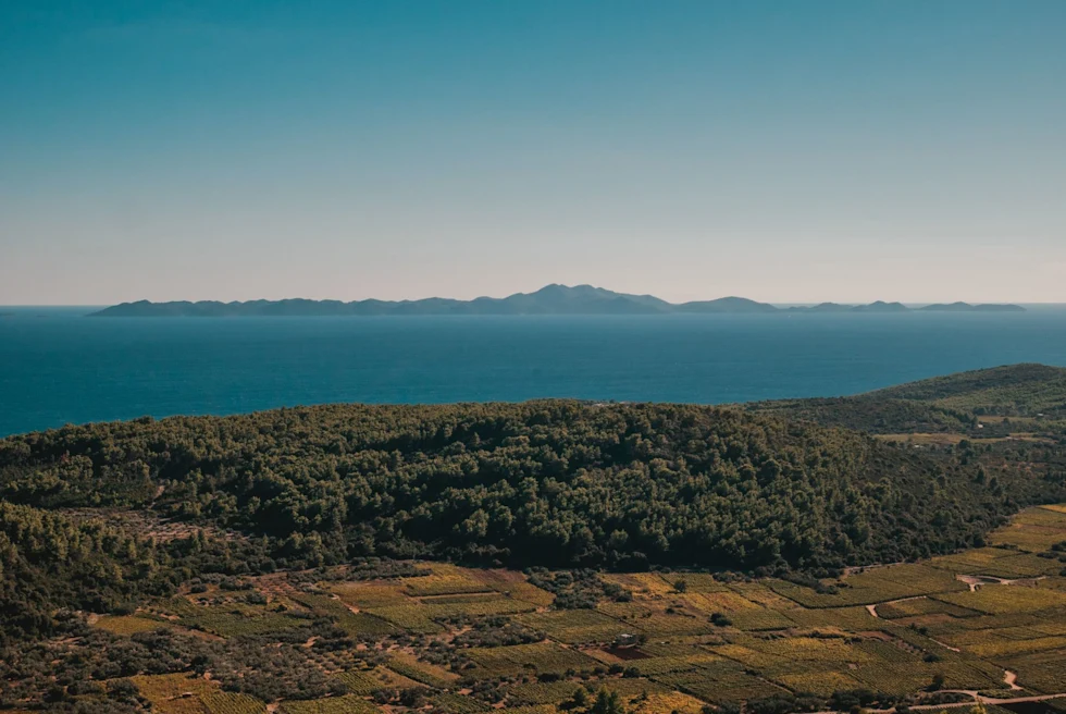 winery views on an island into ocean