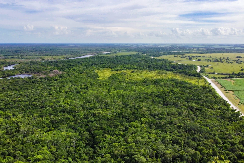 aerial view of green landscape