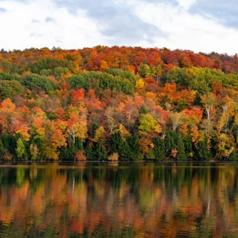 Fall foliage reflecting off of a lake's surface.