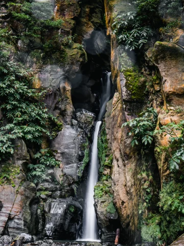 A lush green waterfall flanked by rock formations in the Azores. 