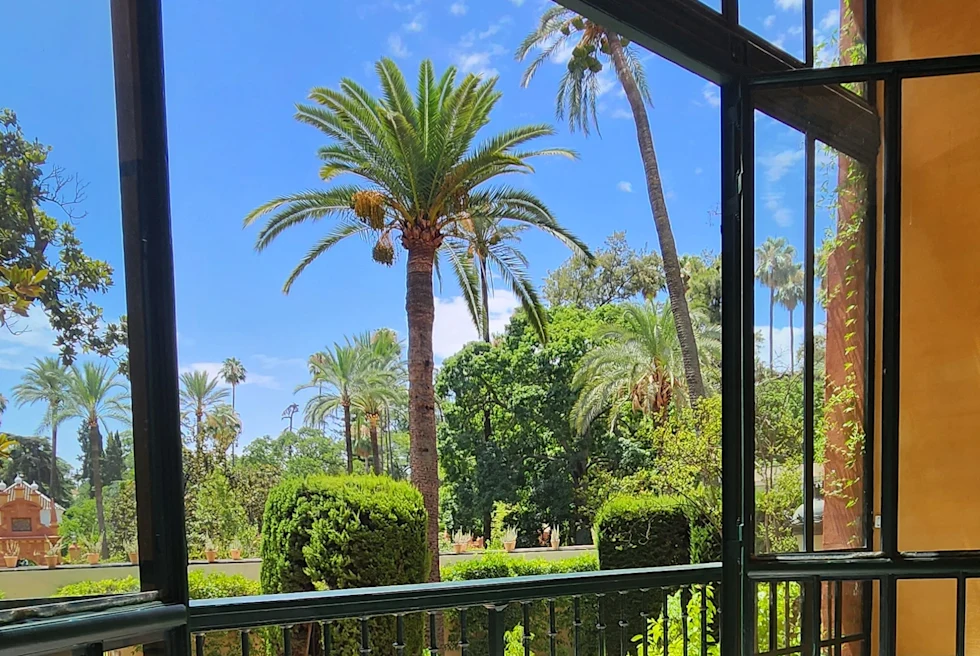 View of palm trees from a building's window.