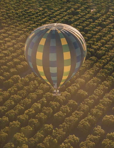 Temecula hot air ballon over vineyards. 