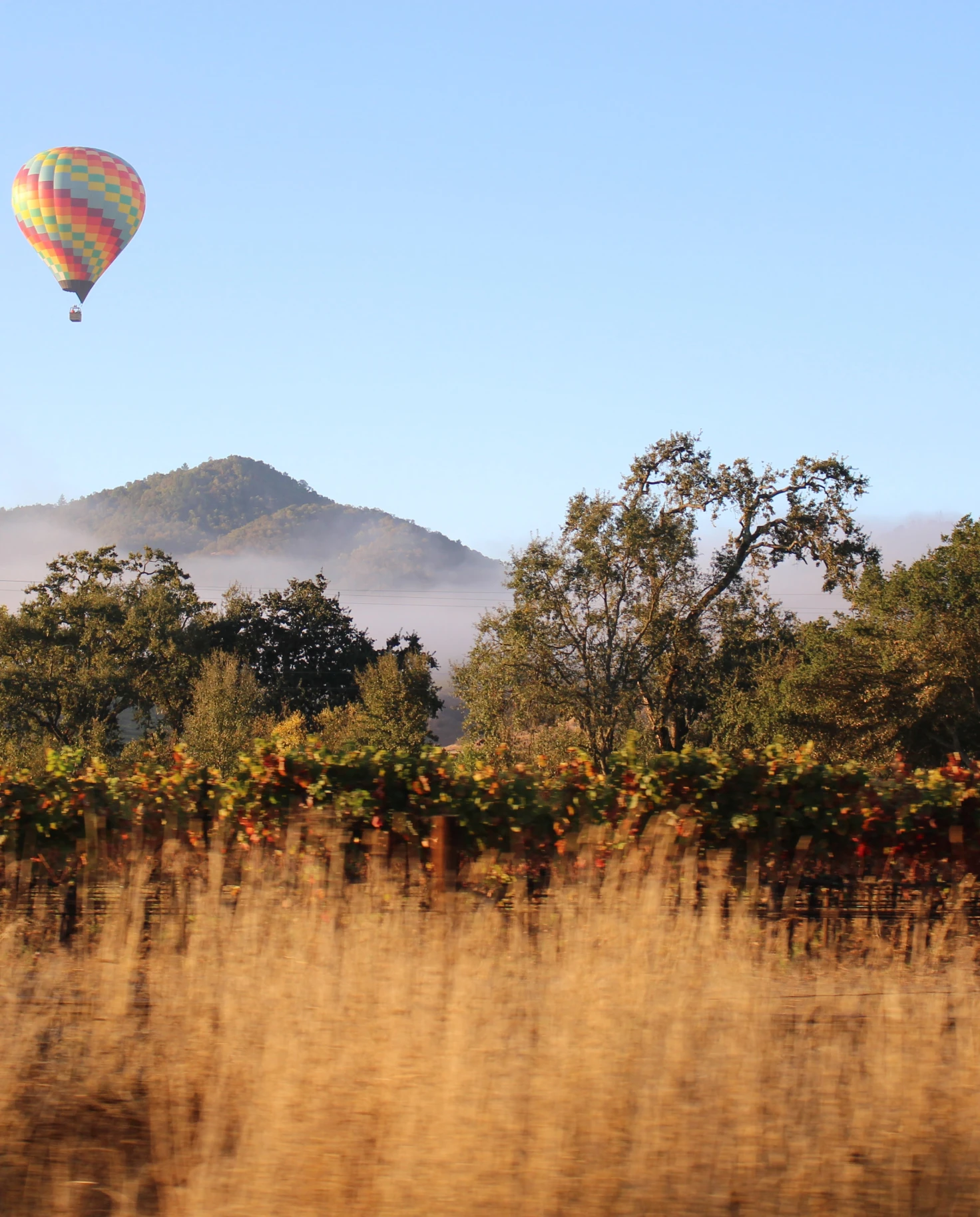 Yountville Napa Valley Travel Guide