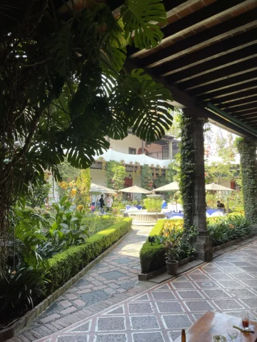 garden hotel courtyard with lush landscaping and stone walkways