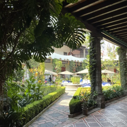 garden hotel courtyard with lush landscaping and stone walkways