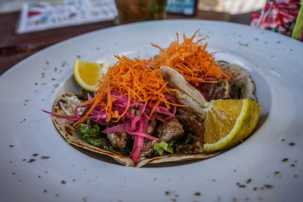 Food in panama city panama with orange carrots yellow lemon pink radish and green lettuce with meat on a white plate