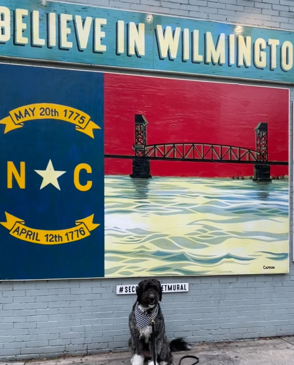 A dog sitting in front of a board saying "I believe in Wilmington".