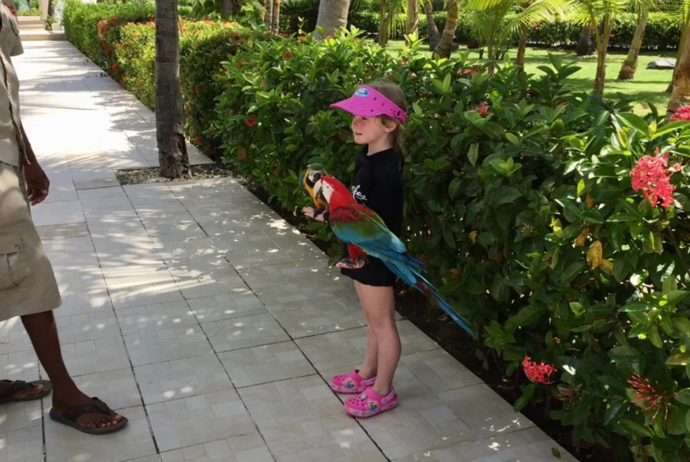 young girl holding a colorful parrot