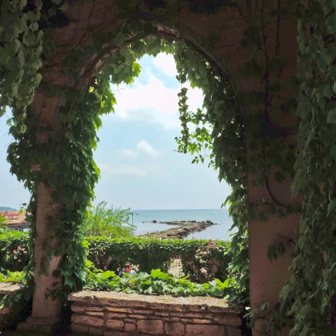 vine-covered colonnade overlooking the sea