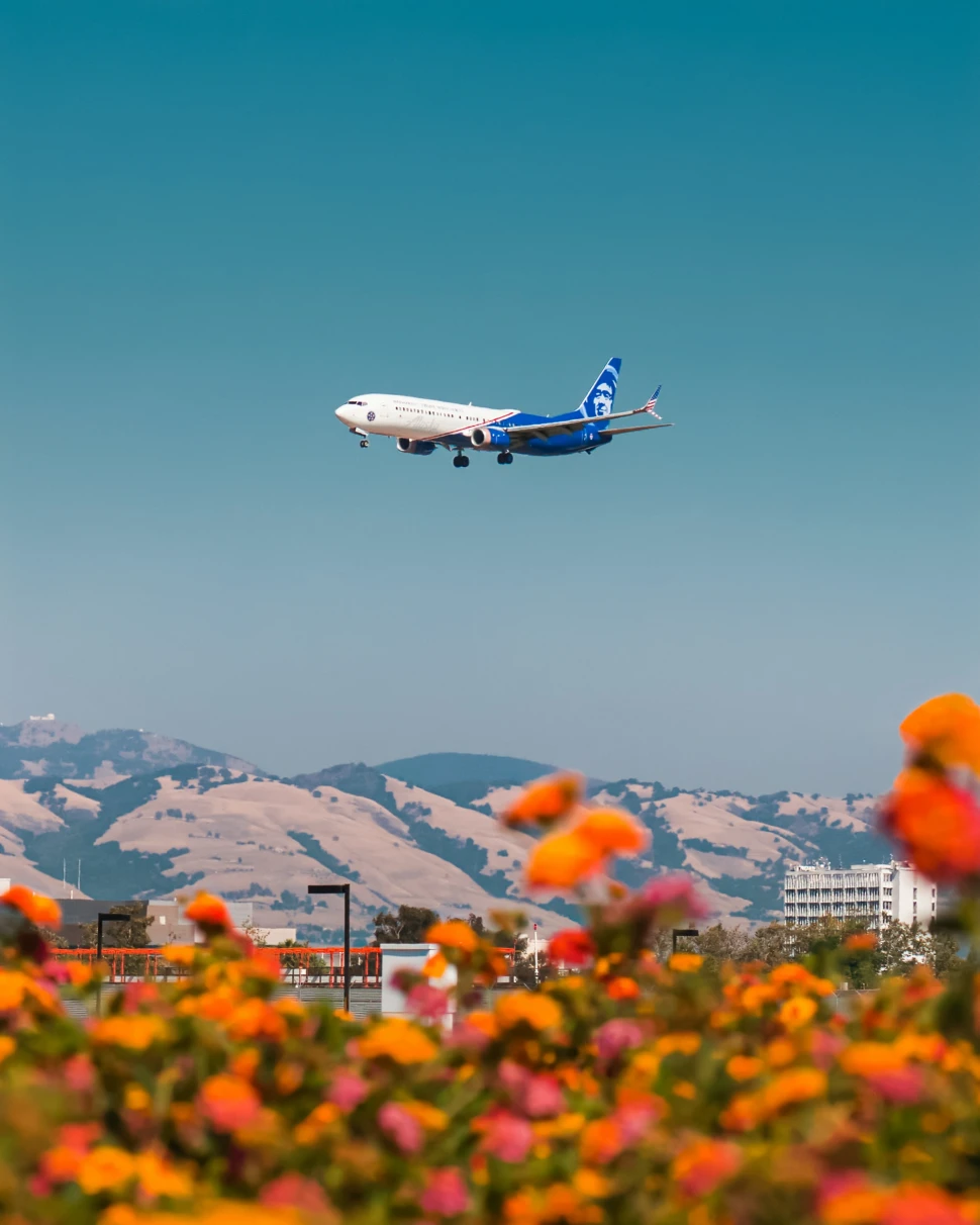 A plane landing in San Jose del Cabo. 