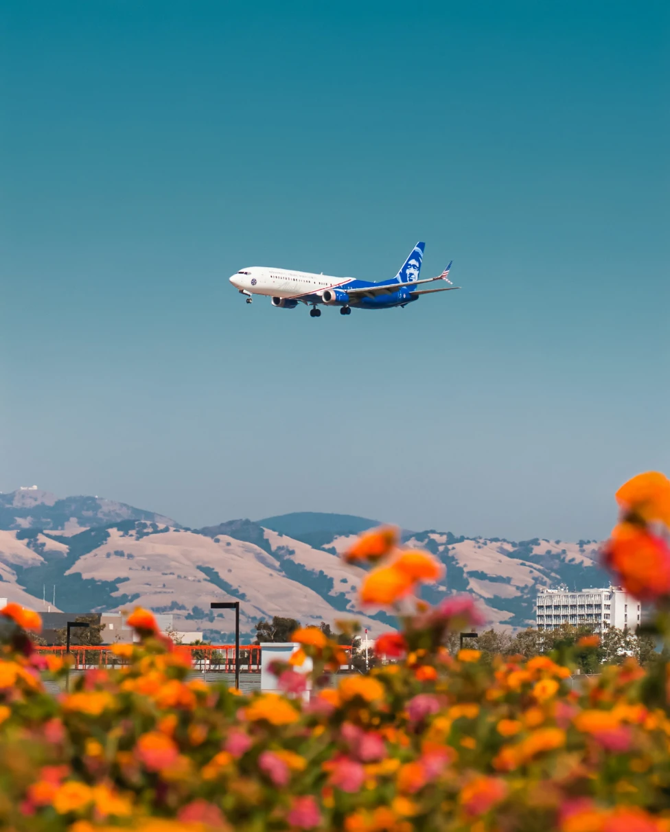 A plane landing in San Jose del Cabo. 