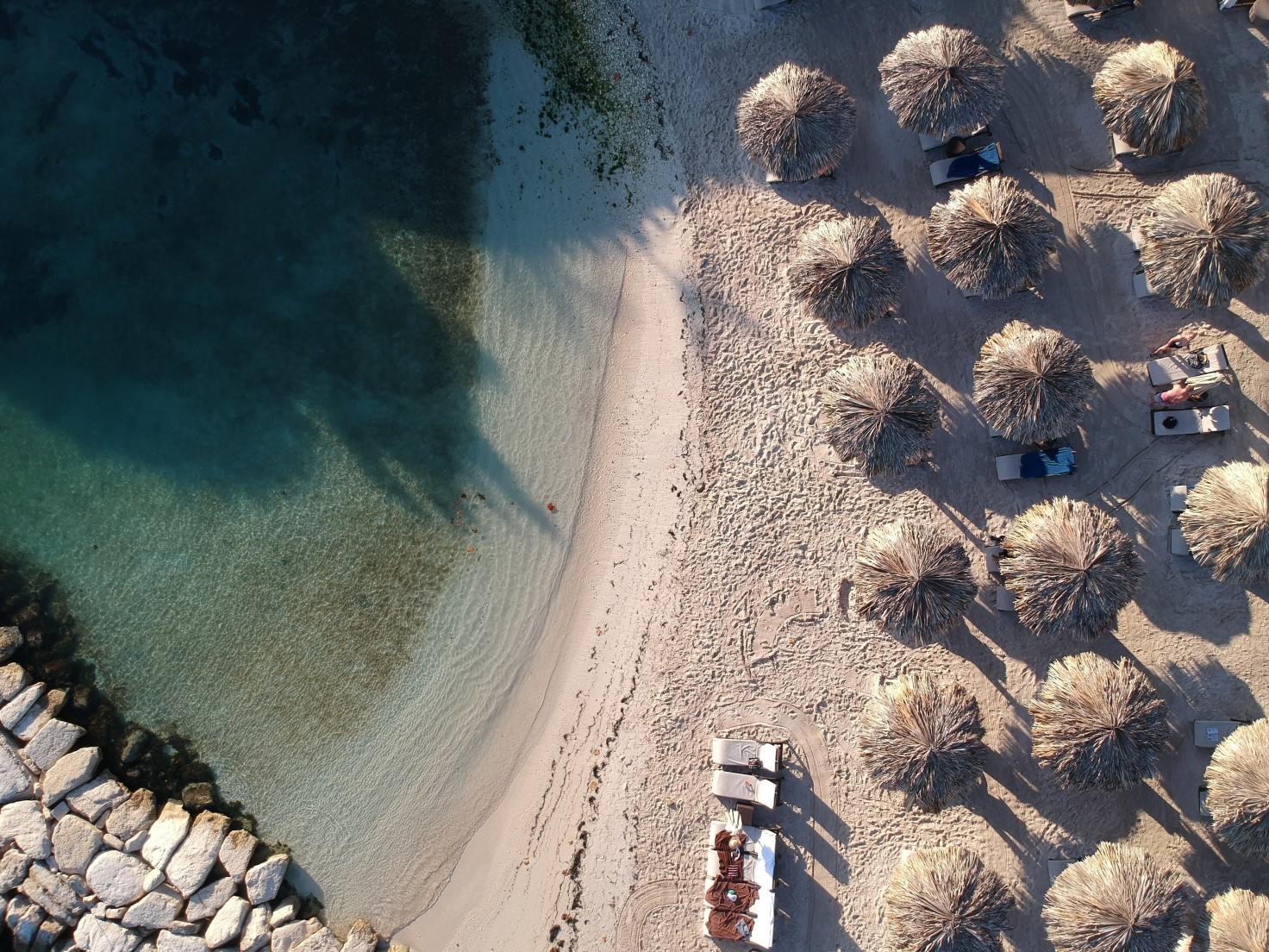 Aerial view of beach with palm trees during daytime