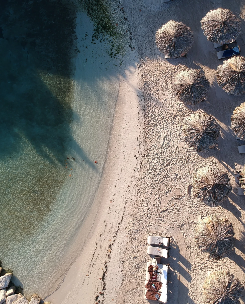 Aerial view of beach with palm trees during daytime
