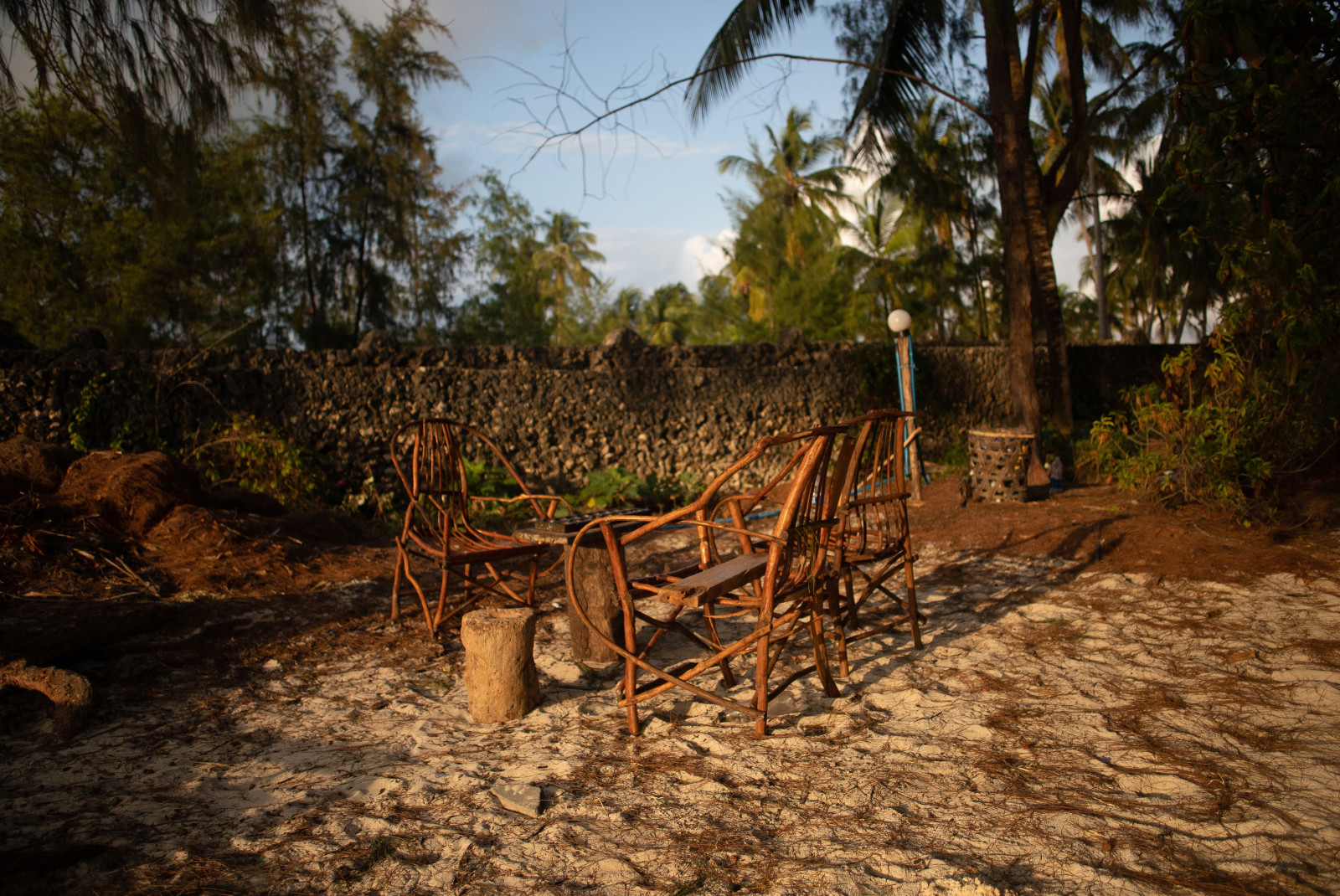 Sandy space with two wooden chairs surrounded by green palm trees and a stone wall