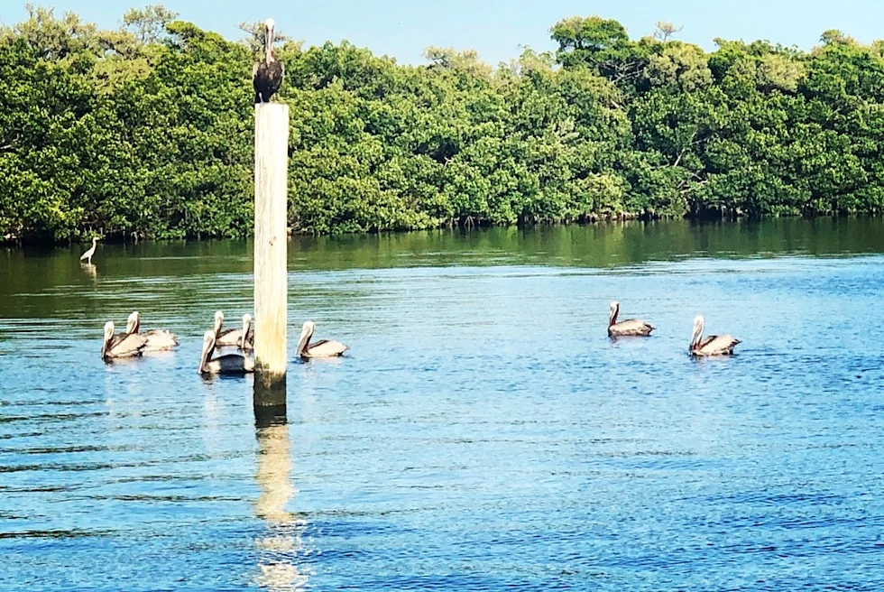 People relaxing on the Anna Maria Island Beach
