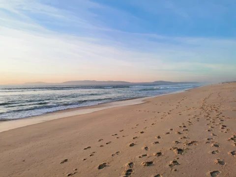 Nature Getaway to Comporta, Portugal curated by Arlette Diederiks