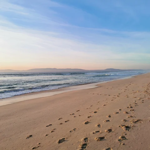 Nature Getaway to Comporta, Portugal curated by Arlette Diederiks