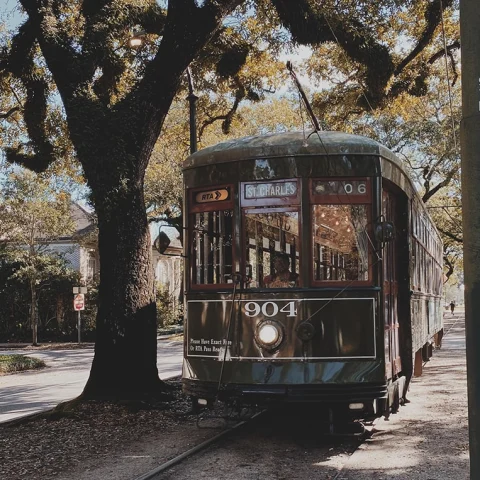 Mother/Daughter Trip to New Orleans curated by Jen Coll Berger