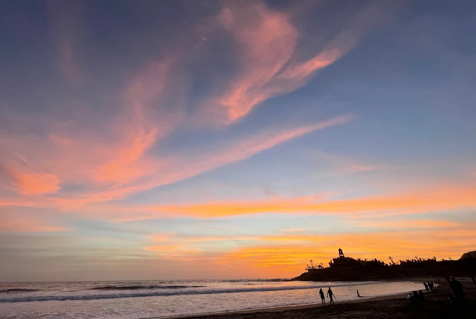 cacti next to dirt road during sunset