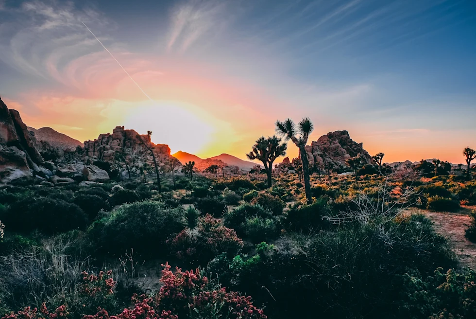 Mountains with tree and grass during blue hour.