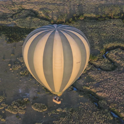 Serengeti Hot Air Balloon - Marvic Cordina 