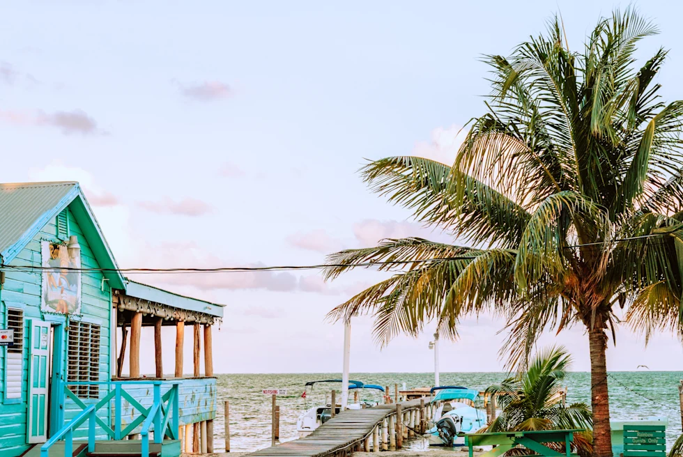chairs on sandy beach next to palm tree and blue building