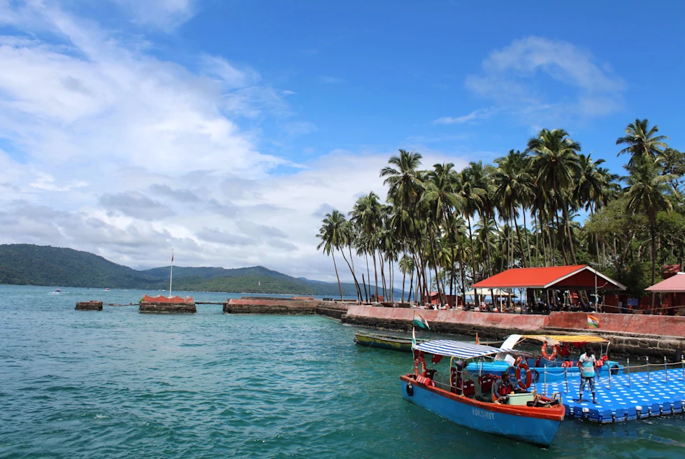 fishing pier next to palm trees during daytime