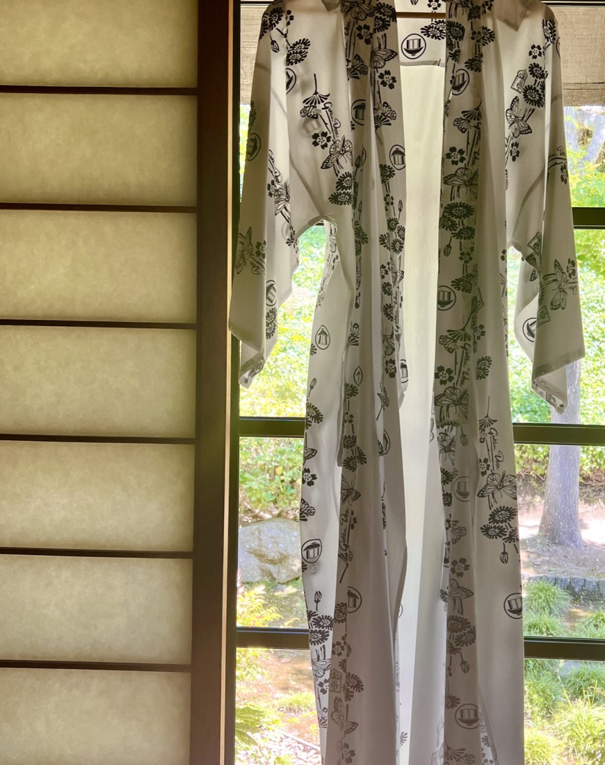 Window view and a gown hanging on it