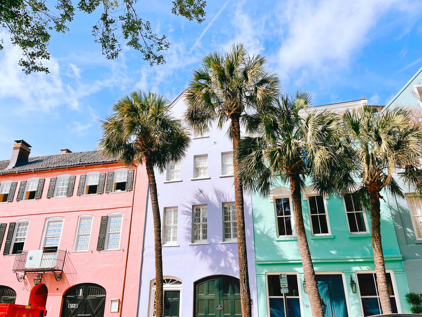 A pink, purple, and teal houses in a row with four tall palm trees with brown trunks and green leaves on the top while visiting Charleston, South Carolina.